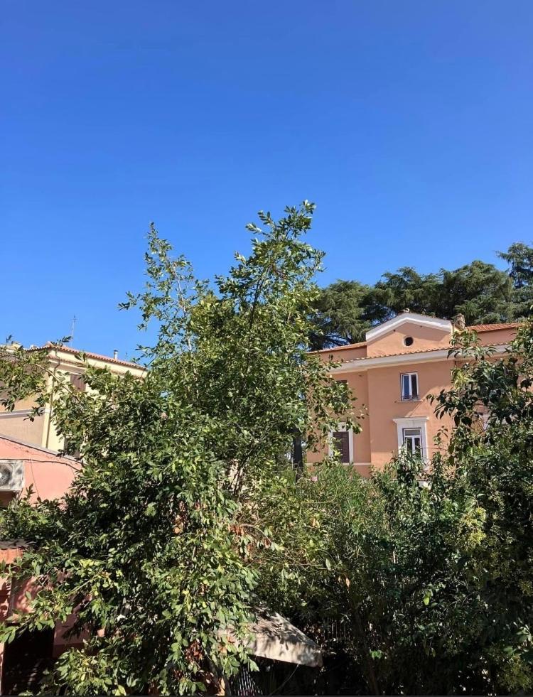 Casa Di Vivi, Comoda Per Il Centro, Il Vaticano Ed Il Gemelli 로마 외부 사진